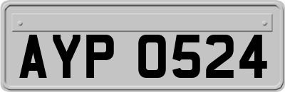 AYP0524