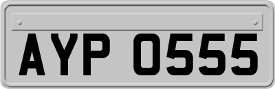 AYP0555