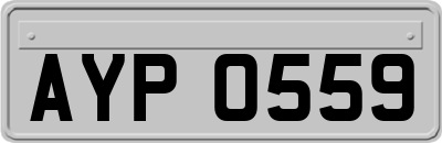 AYP0559