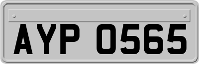 AYP0565