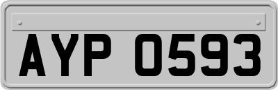 AYP0593
