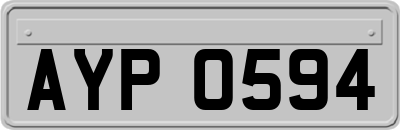 AYP0594