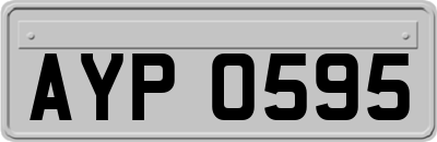 AYP0595