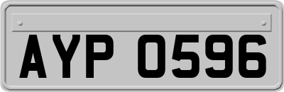 AYP0596