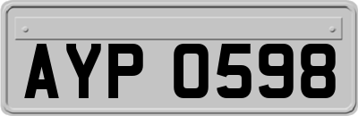 AYP0598