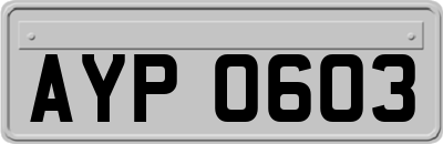 AYP0603