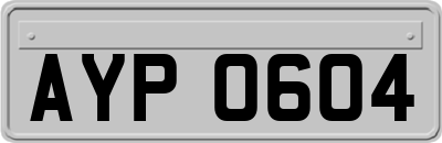 AYP0604