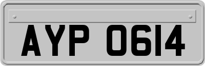 AYP0614