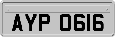 AYP0616