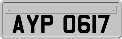 AYP0617