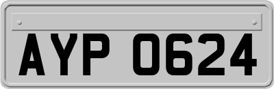 AYP0624