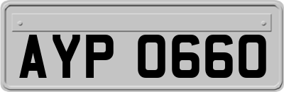 AYP0660