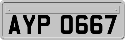 AYP0667