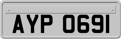AYP0691