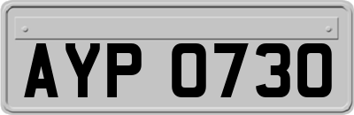 AYP0730