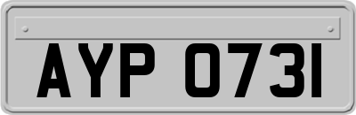 AYP0731