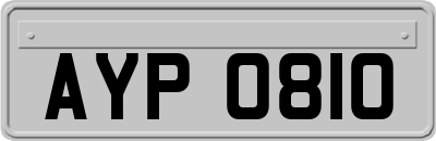 AYP0810
