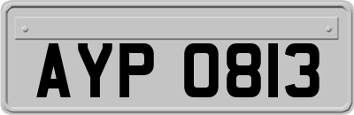 AYP0813