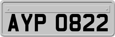 AYP0822