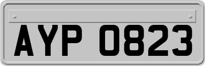 AYP0823