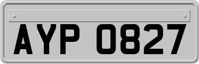 AYP0827