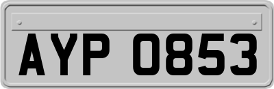 AYP0853