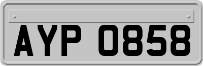 AYP0858