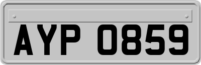 AYP0859