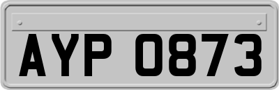 AYP0873
