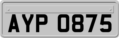 AYP0875