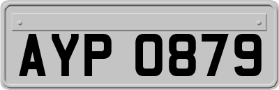 AYP0879