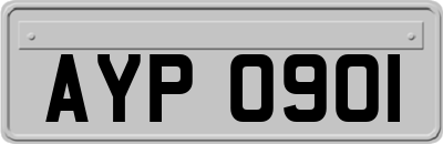 AYP0901