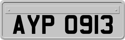 AYP0913