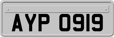 AYP0919