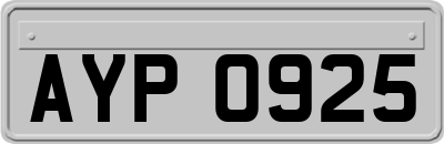 AYP0925