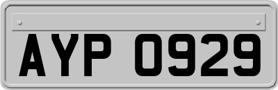 AYP0929