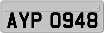 AYP0948