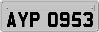 AYP0953