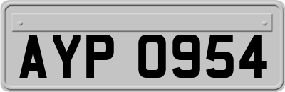 AYP0954