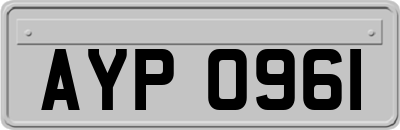 AYP0961