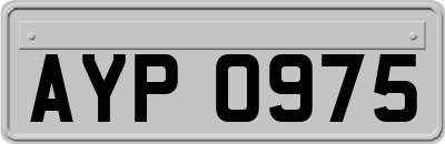 AYP0975