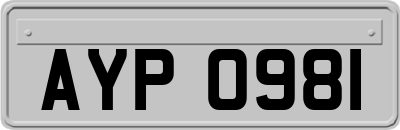 AYP0981