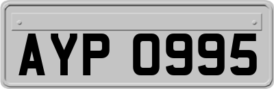 AYP0995