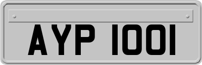 AYP1001