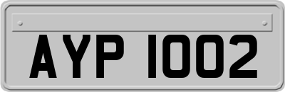 AYP1002