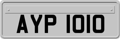 AYP1010