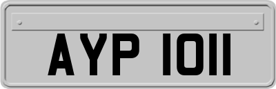 AYP1011