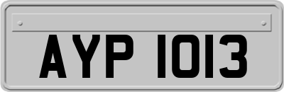 AYP1013