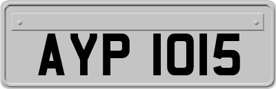 AYP1015
