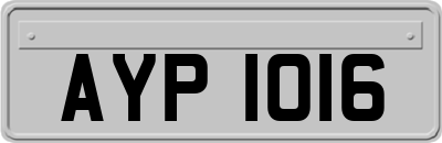 AYP1016